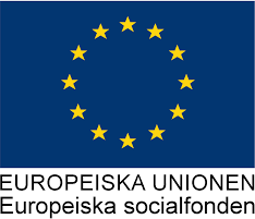ESF beviljar 11,6 Mkr till Care: Myllret Skåne-Ukraina